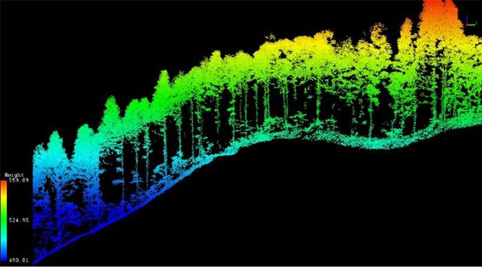 「RINTO」の森林3Dデータ。