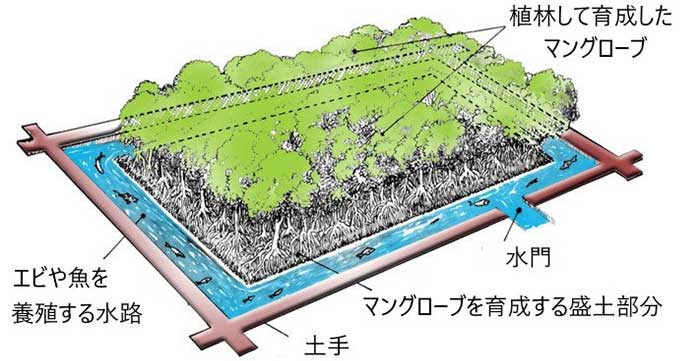 シルボ-フィッシャリー型植林概略イメージ図（提供：YLF）。